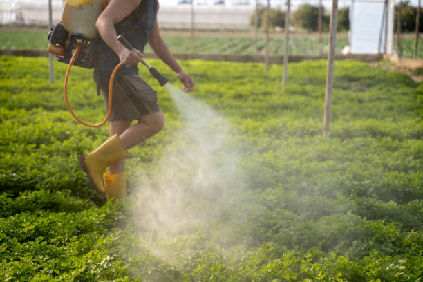 Pest Control for Restaurants in Pleasant Hills, PA